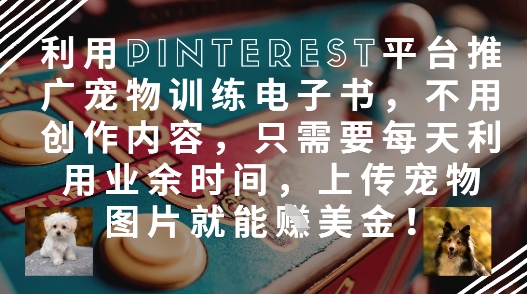 利用Pinterest平台推广宠物训练电子书，不用创作内容，只需要每天利用业余时间，上传宠物图片就能挣美金!-副业库