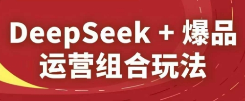 DeepSeek+爆品运营组合玩法，2025淘系精品课-副业库