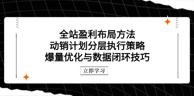 全站盈利布局方法：动销计划分层执行策略，爆量优化与数据闭环技巧-副业库