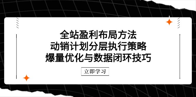（14698期）全站盈利布局方法：动销计划分层执行策略，爆量优化与数据闭环技巧-副业库