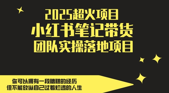 2025超火项目，副业最佳选择，小红书笔记带货团队实操落地项目，，轻松日入5张-副业库