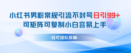 小红书男粉常规引流不封号日引99+变现简单 可矩阵可复制小白容易上手-副业库