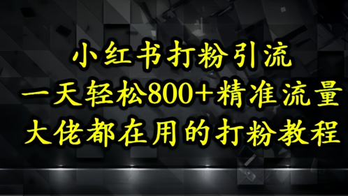 小红书打粉引流，一天轻松500+精准流量，大佬都在用的打粉教程-副业库