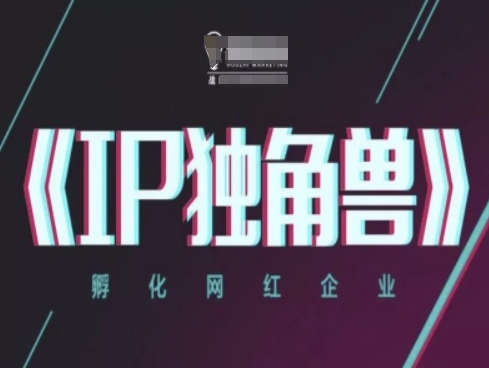 IP独角兽，孵化网红企业，ip教程-副业库