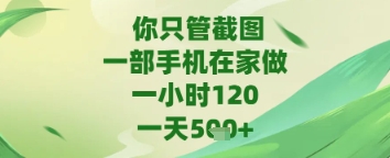 你只管截图，一部手机在家做，苹果安卓都可以，一天5张+-副业库