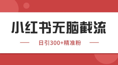 小红书只要你有同行就能获客，独家野路子获客玩法，暴力截流-副业库