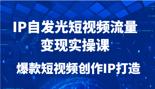 IP自发光短视频流量变现实操课，爆款短视频创作IP打造-副业库
