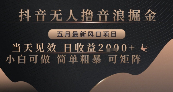 抖音无人撸音浪掘金，五月最新风口项目，当天见效，日收益多张，小白可做简单粗暴可矩阵-副业库