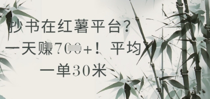 抄书在小红薯平台？平均一单30米，一天收益几张！-副业库