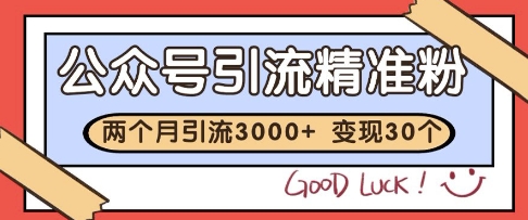 公众号精准粉引流玩法，2个月3000+精准粉，变现30个W-副业库