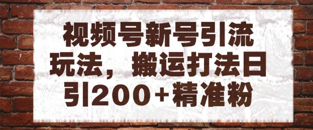 视频号新号引流玩法，搬运打法日引200+精准粉，可矩阵放大-副业库