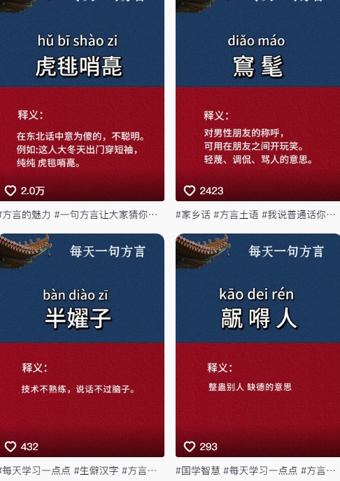 图片[2]-抖音最新涨粉玩法，图文方言暴力涨粉实操，126作品涨粉11W-副业库