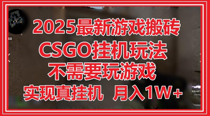 （14743期）2025最新游戏搬砖，CSGO挂机，不需要玩游戏，实现真挂机，月入1W+-副业库
