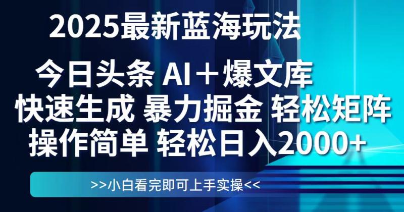 （14805期）今日头条2025最新蓝海玩法，思路简单，复制粘贴，轻松实现矩阵日入2000+-副业库