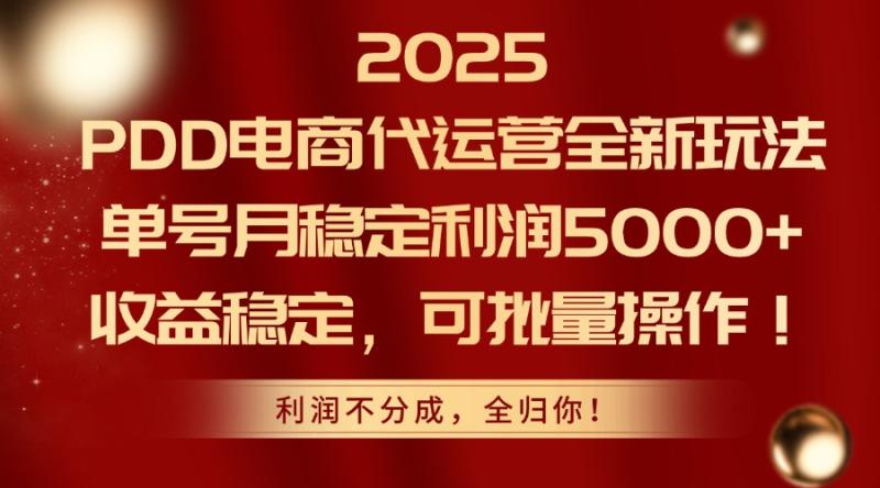 （14839期）2025PDD电商代运营全新玩法，单号月稳定利润5000+，收益稳定，可批量操作-副业库