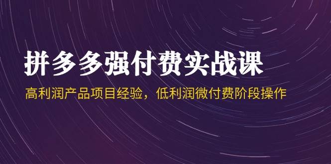 拼多多强付费实战课-44期，高利润产品项目经验，低利润微付费阶段操作-副业库