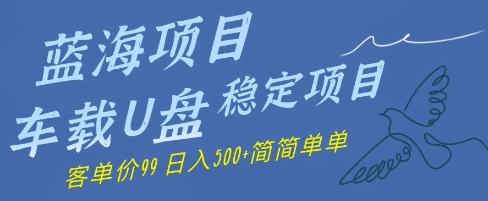 蓝海项目车载U盘稳定项目，挣的就是信息差，客单价99，日入几张简简单单-副业库