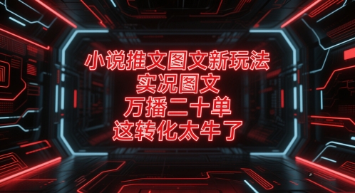 小说推文图文新玩法，实况图文，万播二十单，这转化太牛了！-副业库