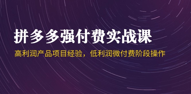（14874期）拼多多强付费实战课-44期，高利润产品项目经验，低利润微付费阶段操作-副业库