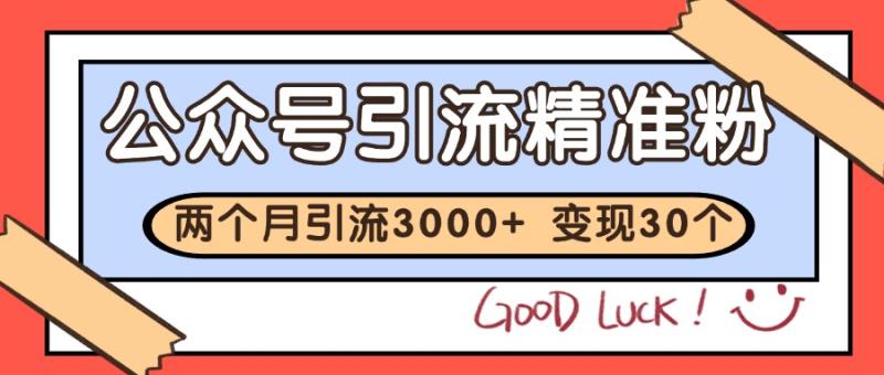 公众号精准粉引流玩法 2个月3000+精准粉 变现30万+-副业库