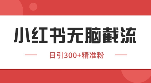 小红书截流同行客源，独家野路子获客玩法 日引200+暴力获客-副业库