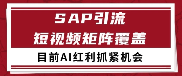 小红书某音sap赛道引流获客 自热矩阵日引200+-副业库