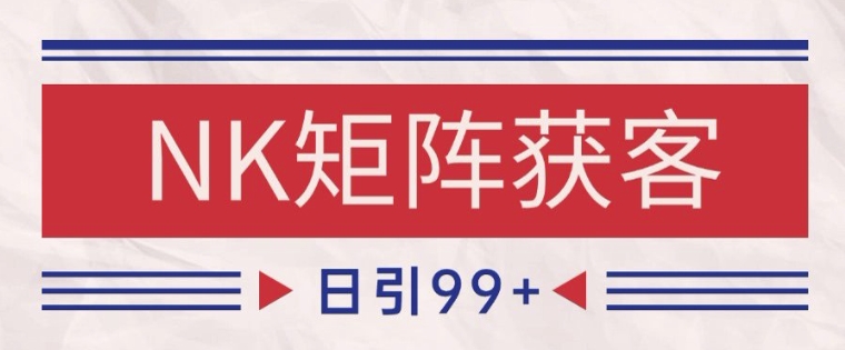 小红书某音NK赛道引流获客 自热矩阵日引200+-副业库