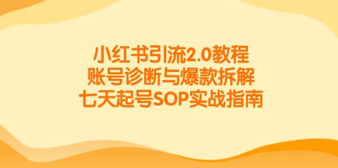 小红书引流2.0教程，账号诊断与爆款拆解，七天起号SOP实战指南-副业库