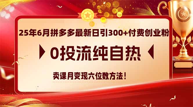 （14989期）25年6月拼多多最新日引300+付费创业粉，0投流纯自热 卖课月变现六位数方法-副业库