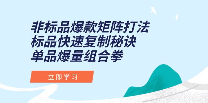 非标品爆款矩阵打法，标品快速复制秘诀，单品爆量组合拳-副业库