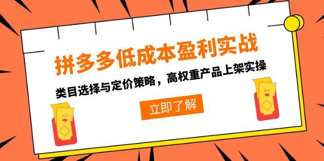 拼多多低成本盈利实战，类目选择与定价策略，高权重产品上架实操-副业库