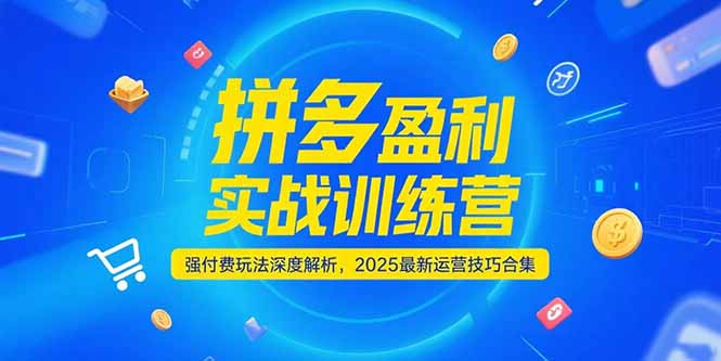 拼多多盈利实战训练营，强付费玩法深度解析，2025运营技巧合集-更新6月-副业库