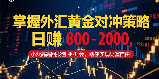 掌握外汇黄金对冲策略，日赚 800 – 2000，小众高回报创业机会，助你实…-副业库